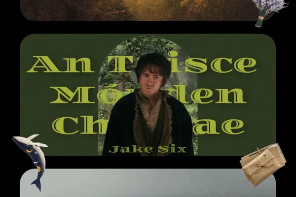An Taisce Mór den Chontae