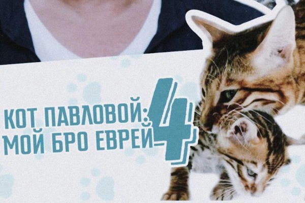 КОТ ПАВЛОВОЙ: МОЙ БРО ЕВРЕЙ 4