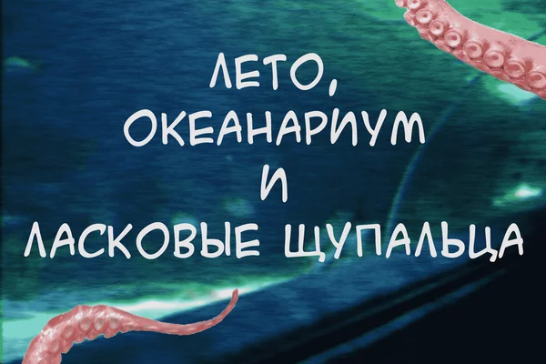 Лето, океанариум и ласковые щупальца