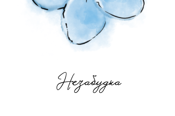 Незабудка