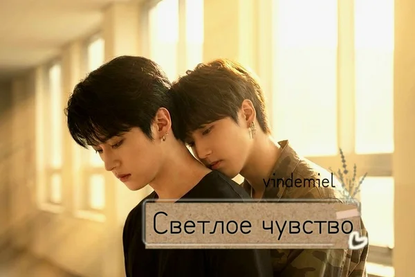 Светлое чувство