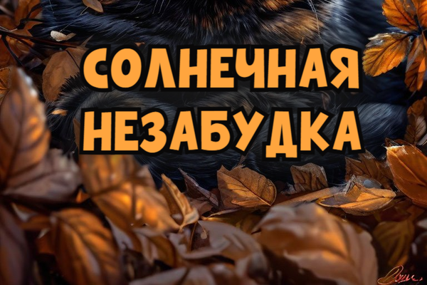 Солнечная незабудка