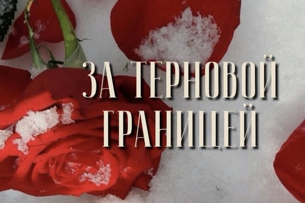 За терновой границей