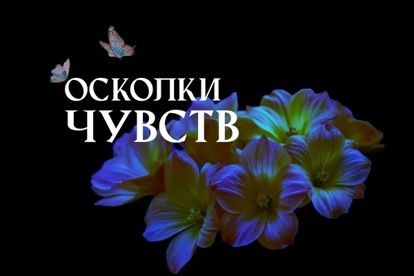 Осколки чувств