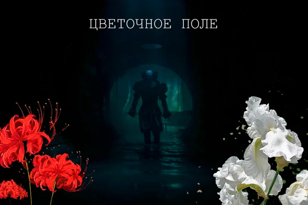 Цветочное поле