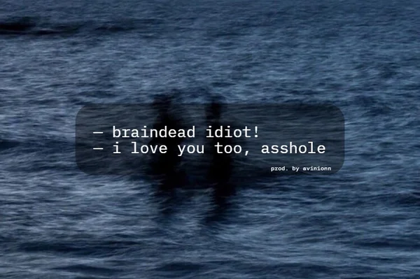— braindead idiot! — i love you too, asshole