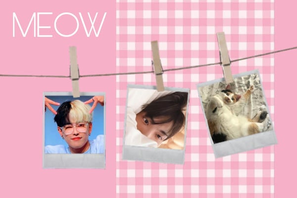 Meow
