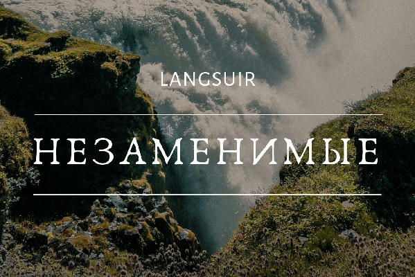 Незаменимые