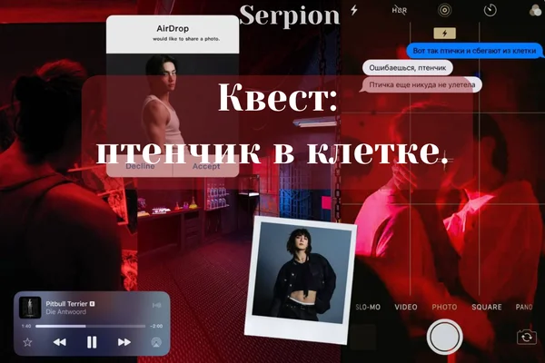 Квест: птенчик в клетке.