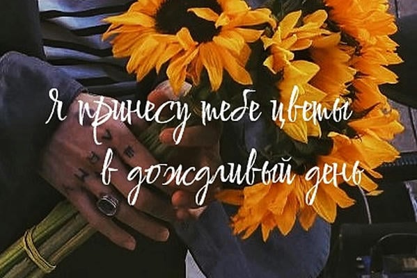 Я принесу тебе цветы в дождливый день