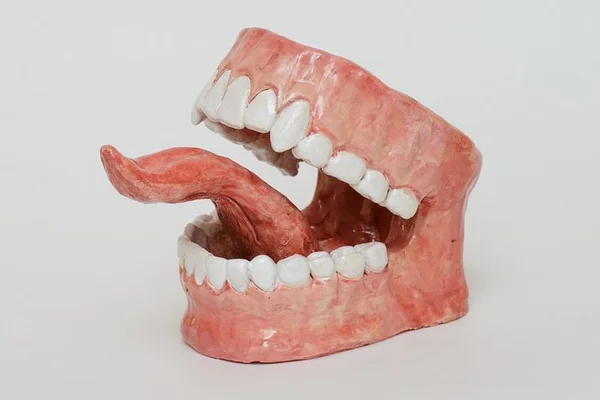 Длинный язык