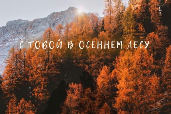 С тобой в осеннем лесу