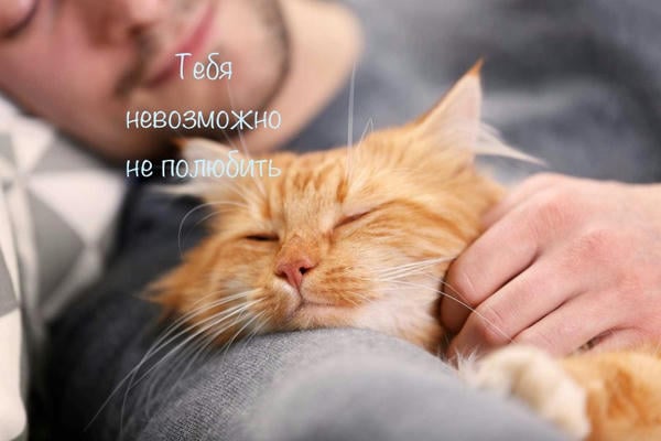 Тебя невозможно не полюбить...