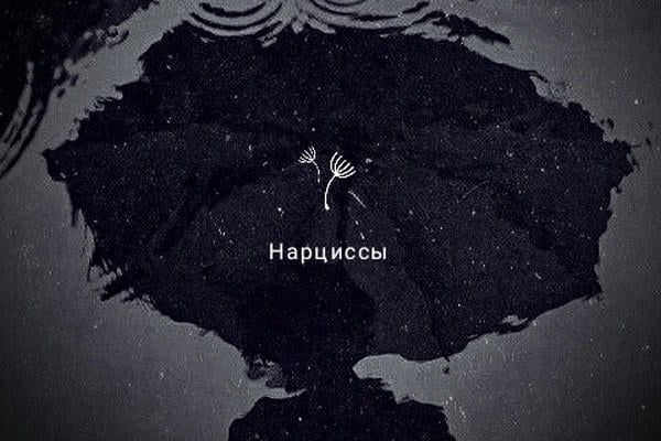 Нарциссы 