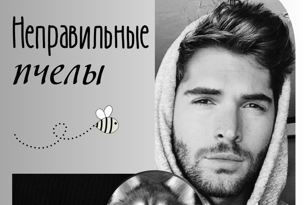 Неправильные пчелы