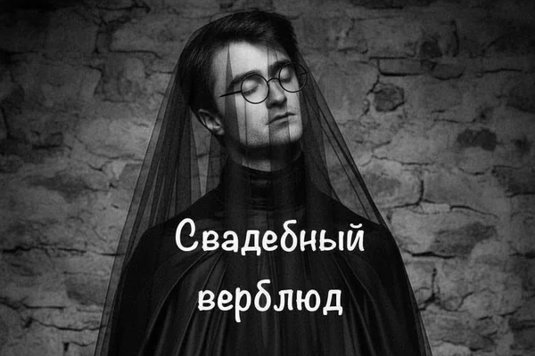 Свадебный верблюд