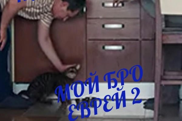 КОТ ПАВЛОВОЙ: МОЙ БРО ЕВРЕЙ 2