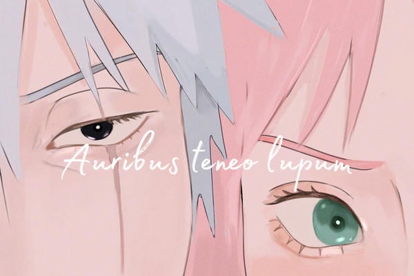 Auribus teneo lupum