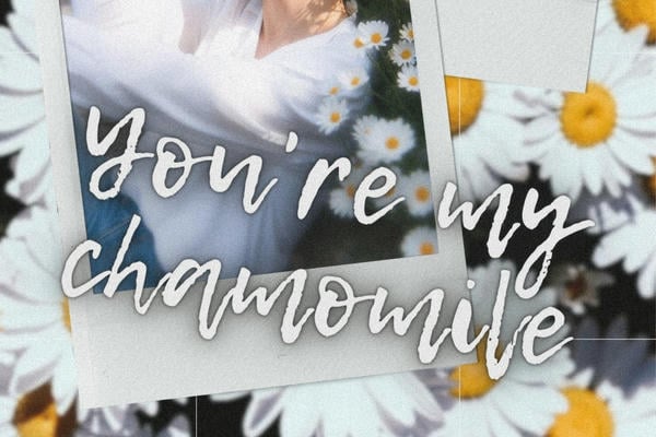You're my chamomile