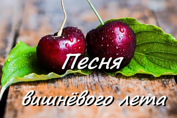 Песня вишнёвого лета (Дочери Лалады)