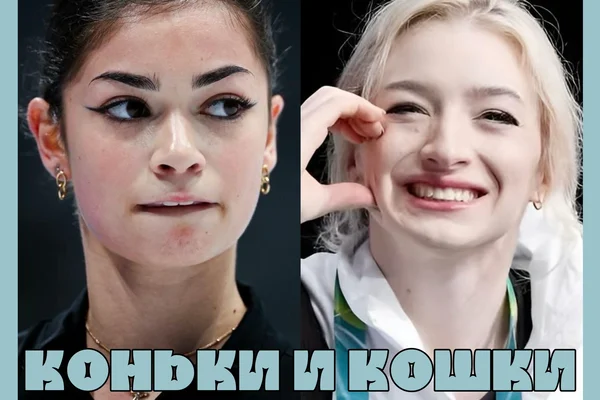 Коньки и кошки