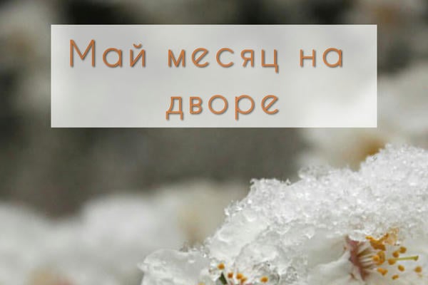 Май месяц на дворе
