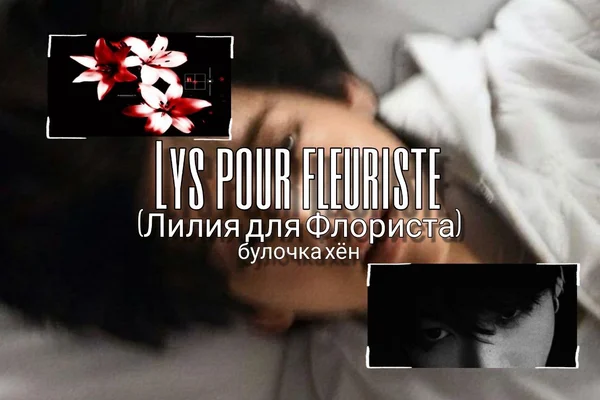 Lys pour fleuriste (Лилия для Флориста)