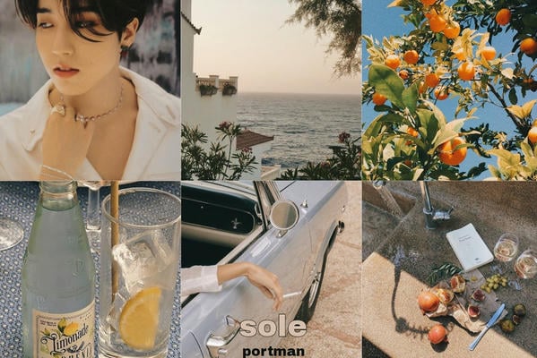 sole