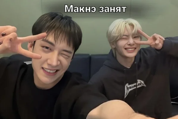 Макнэ занят