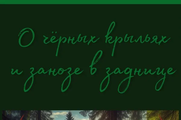 О чёрных крыльях и занозе в заднице