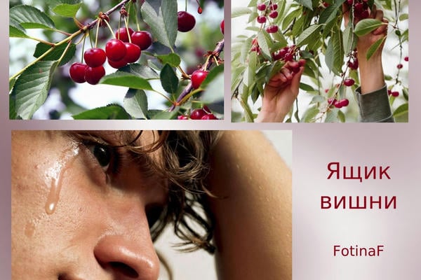 Ящик вишни