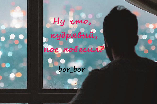 Ну что, кудрявый, нос повесил?