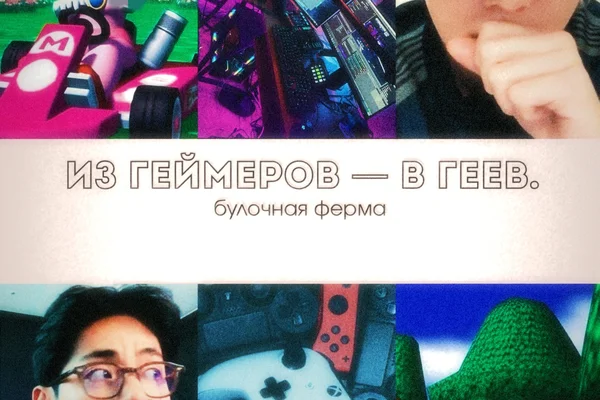 из геймеров - в геев.