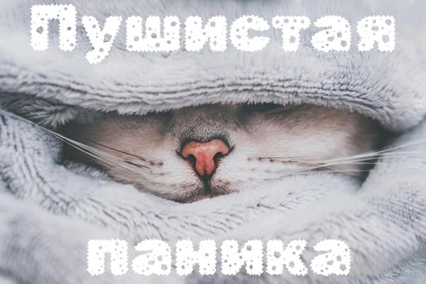 Пушистая паника