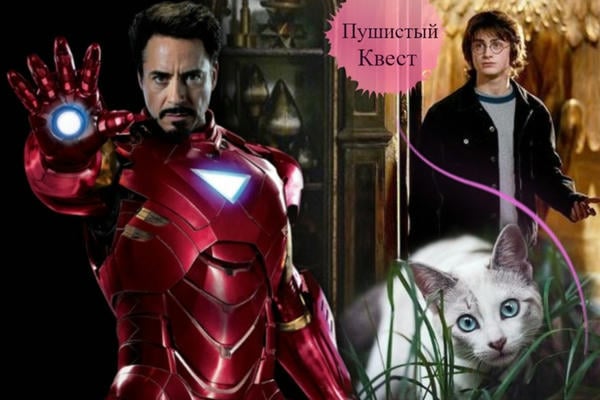 Пушистый квест