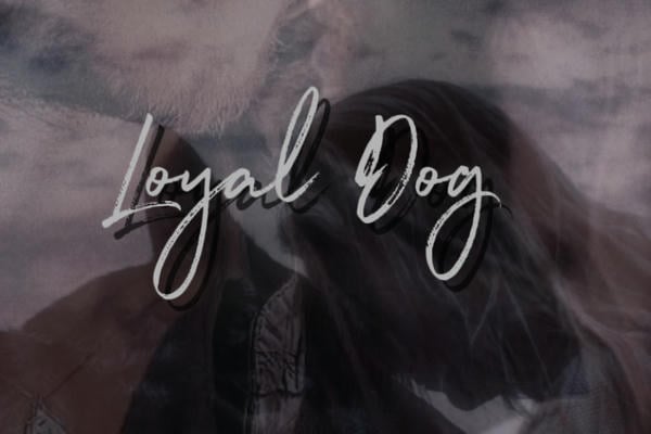 Loyal Dog