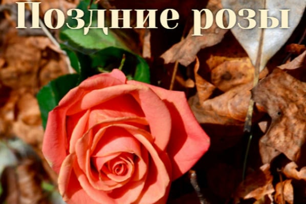 Поздние розы
