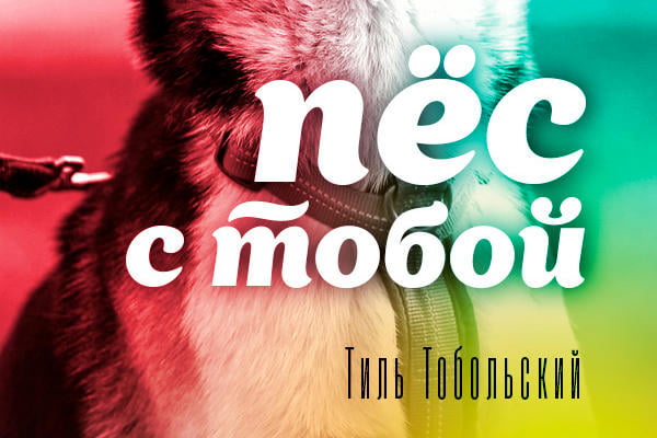 Пёс с тобой