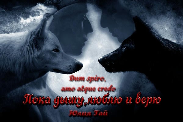 Dum spiro, amo atque credo (Пока дышу, люблю и верю)