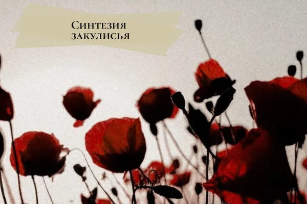 Синтезия закулисья