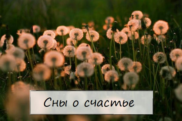 Сны о счастье