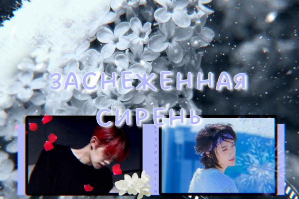 Заснеженная сирень