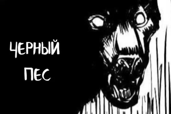 Черный пес