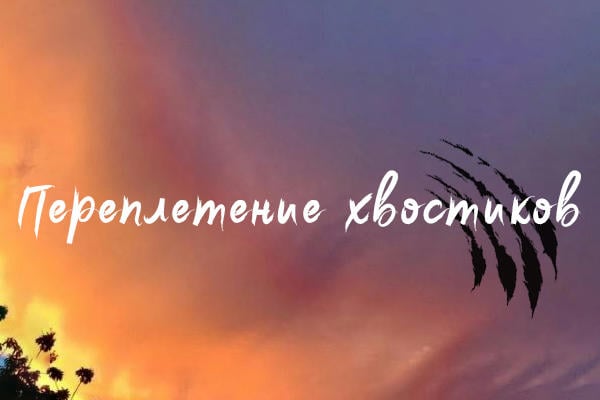 Переплетение хвостиков