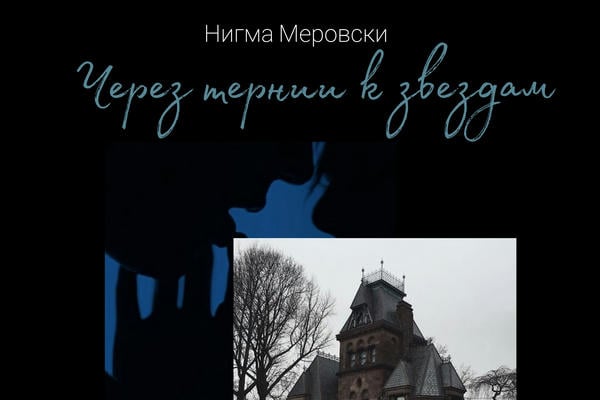 Через тернии к звездам