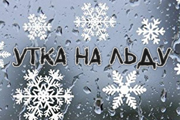 Утка на льду