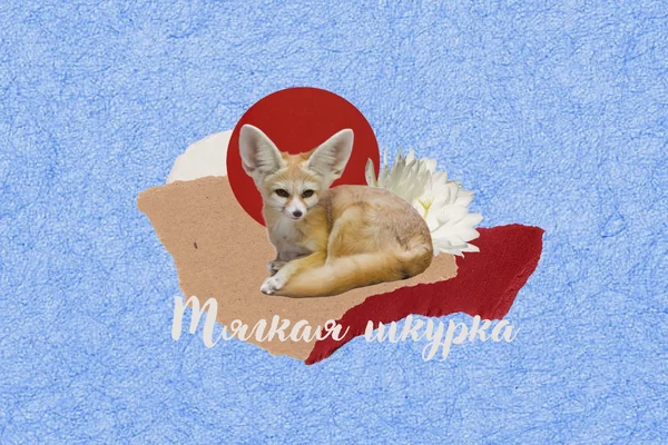 Мягкая шкурка