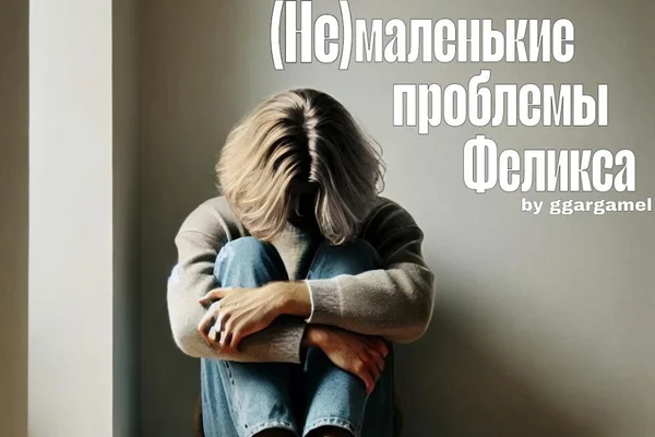 (Не) маленькие проблемы Феликса