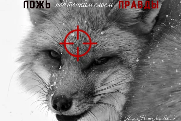 Ложь, под тонким слоем правды.