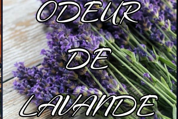 Odeur De Lavande